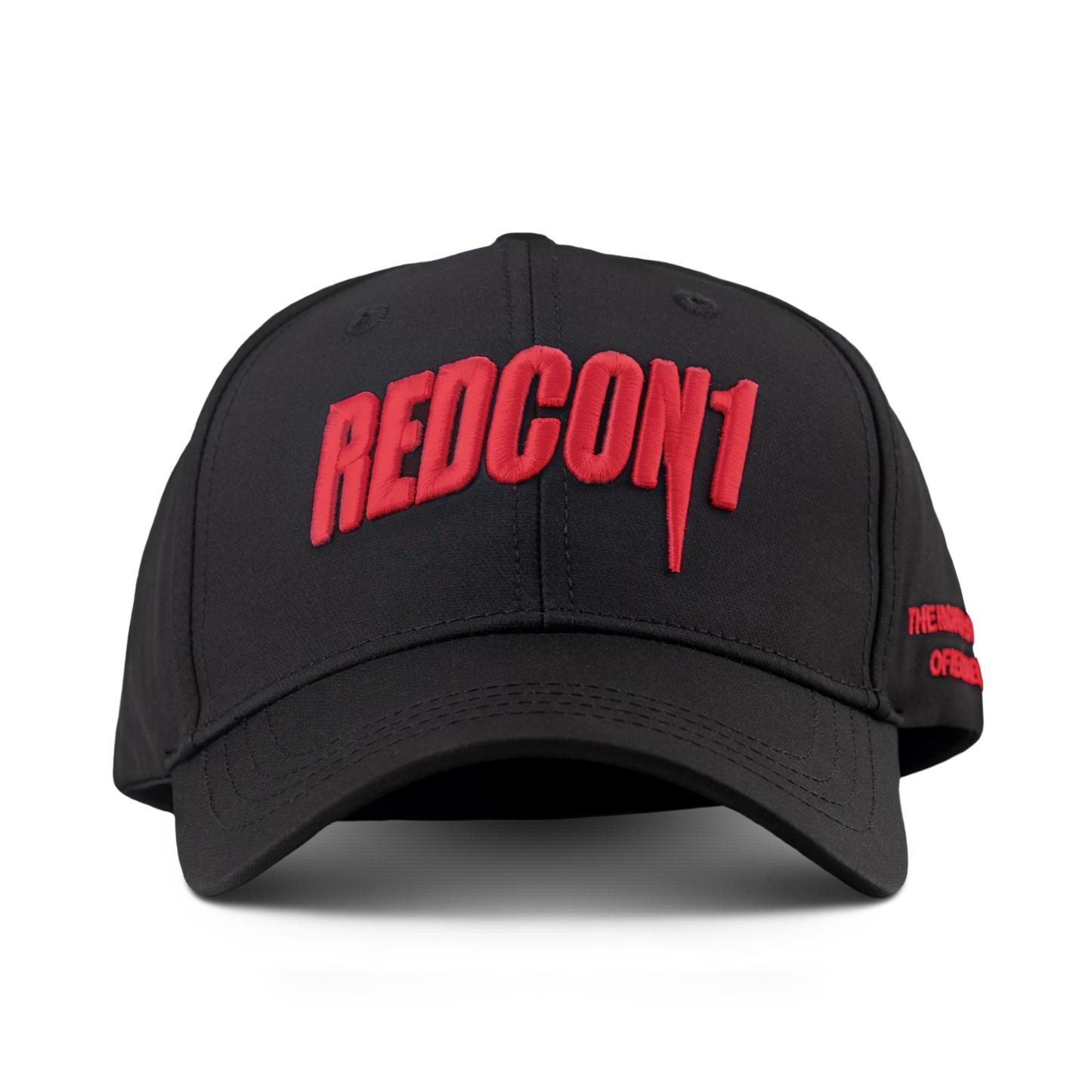 3D Puff Embroidered Snapback