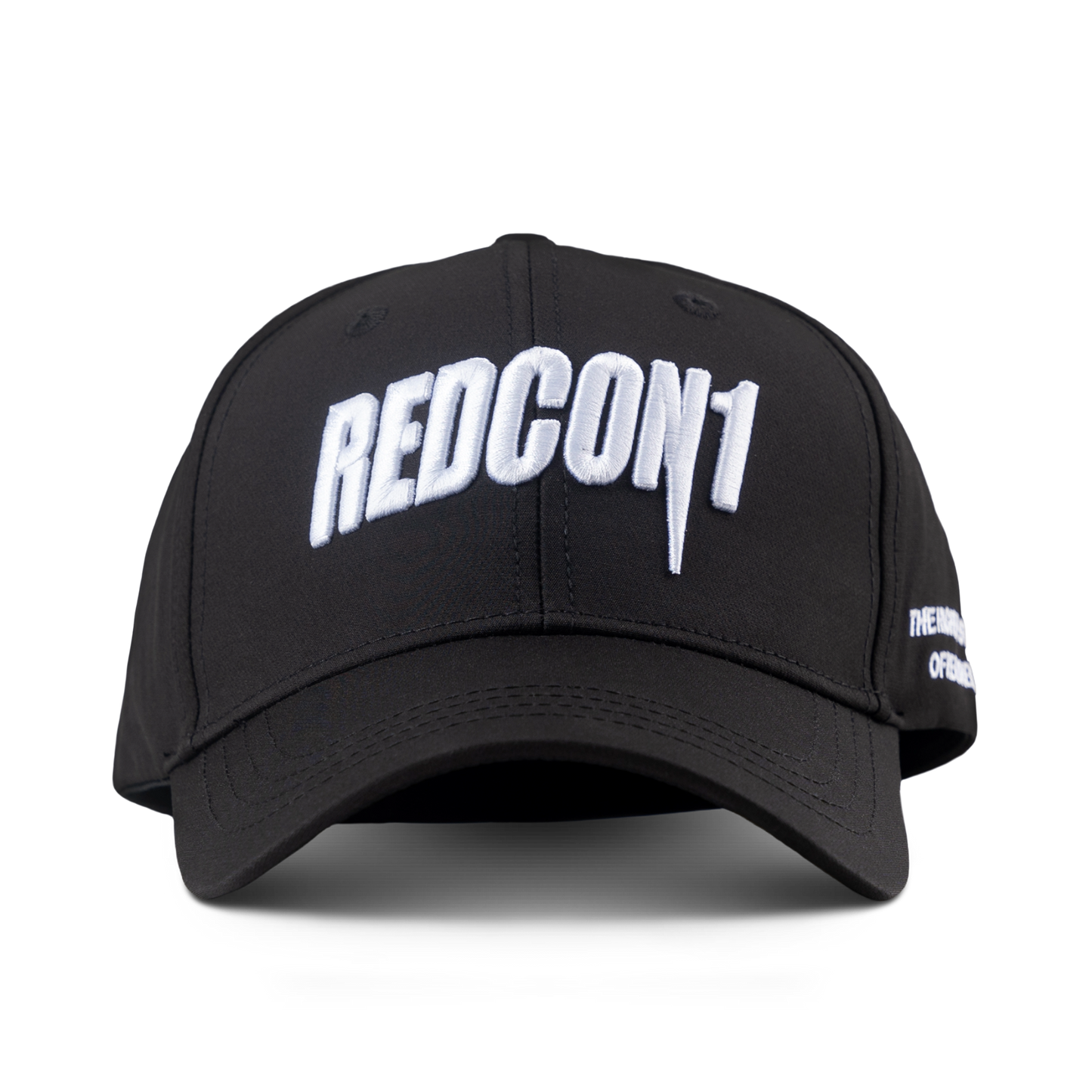 3D Puff Embroidered Snapback