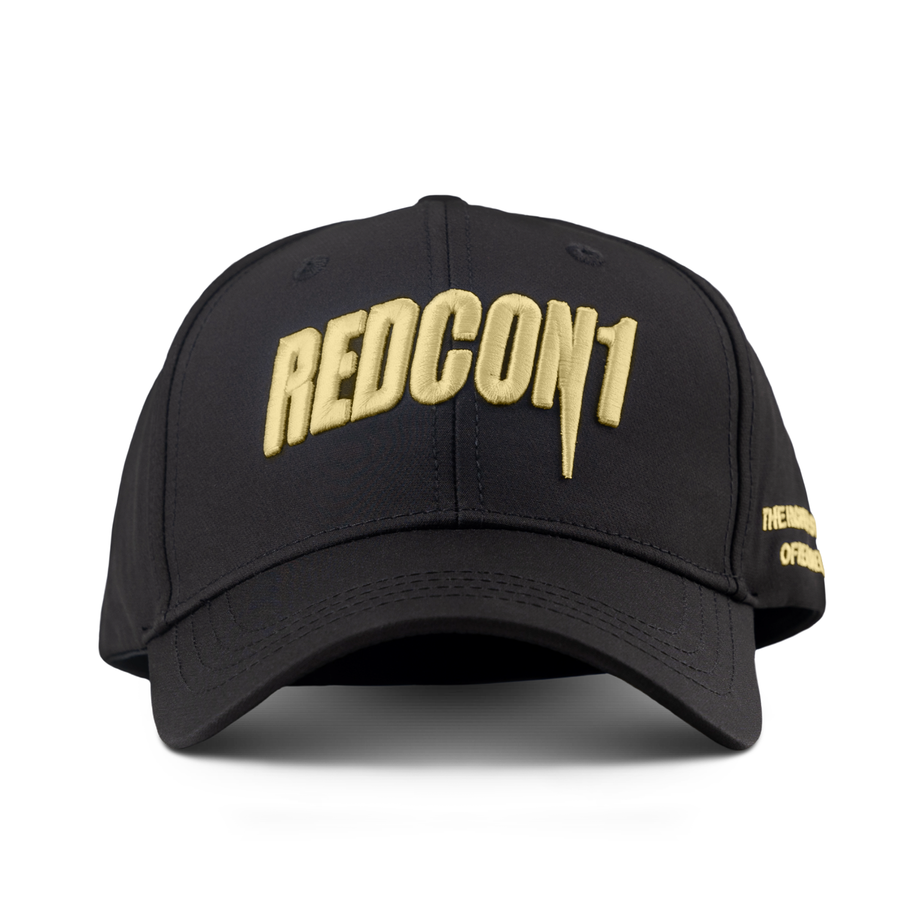 3D Puff Embroidered Snapback