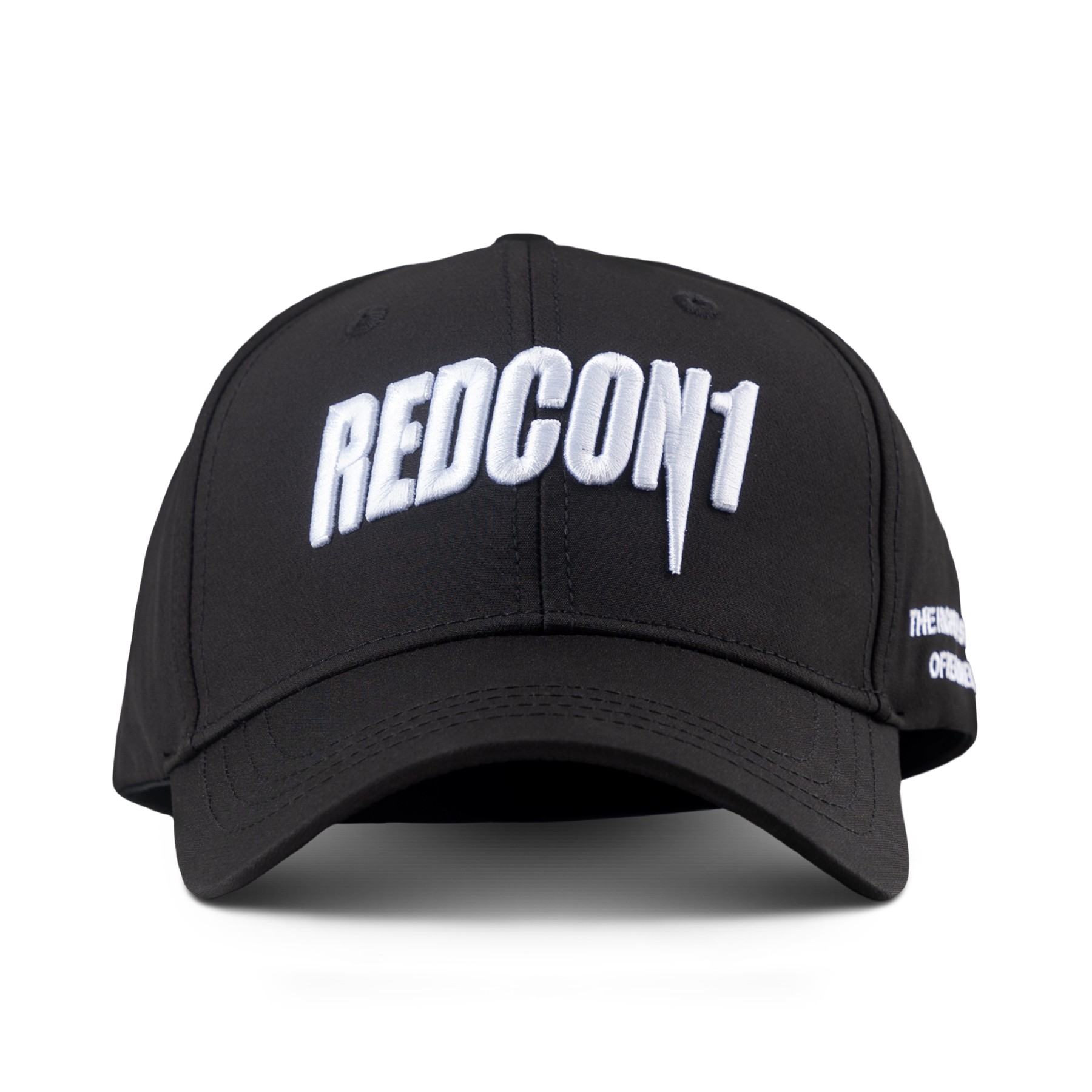 3D Puff Embroidered Snapback